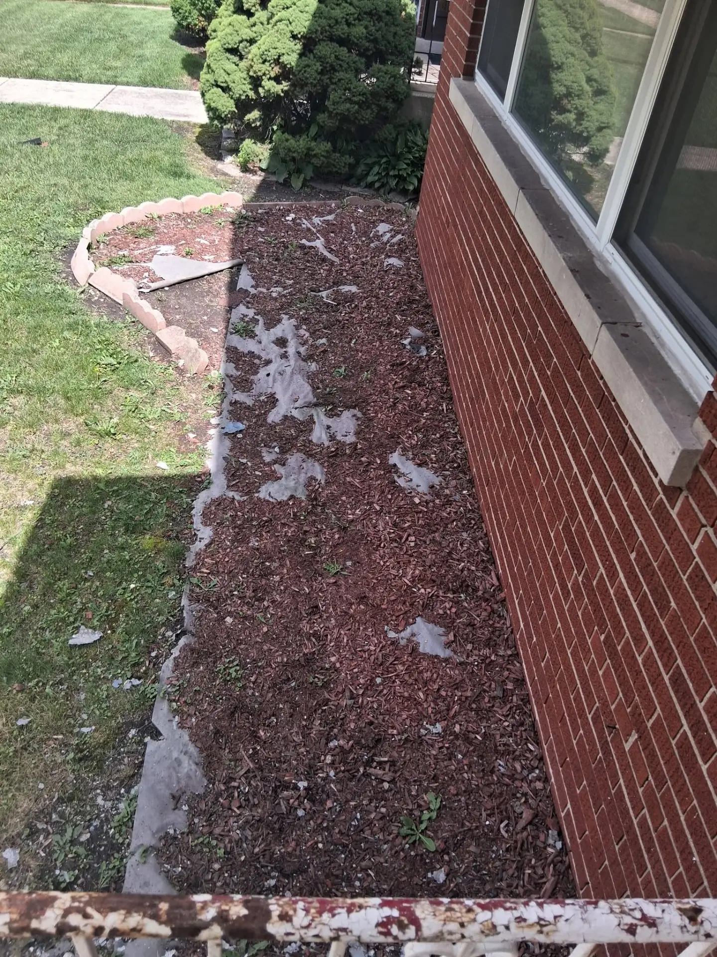 Mulch bed refresh — before