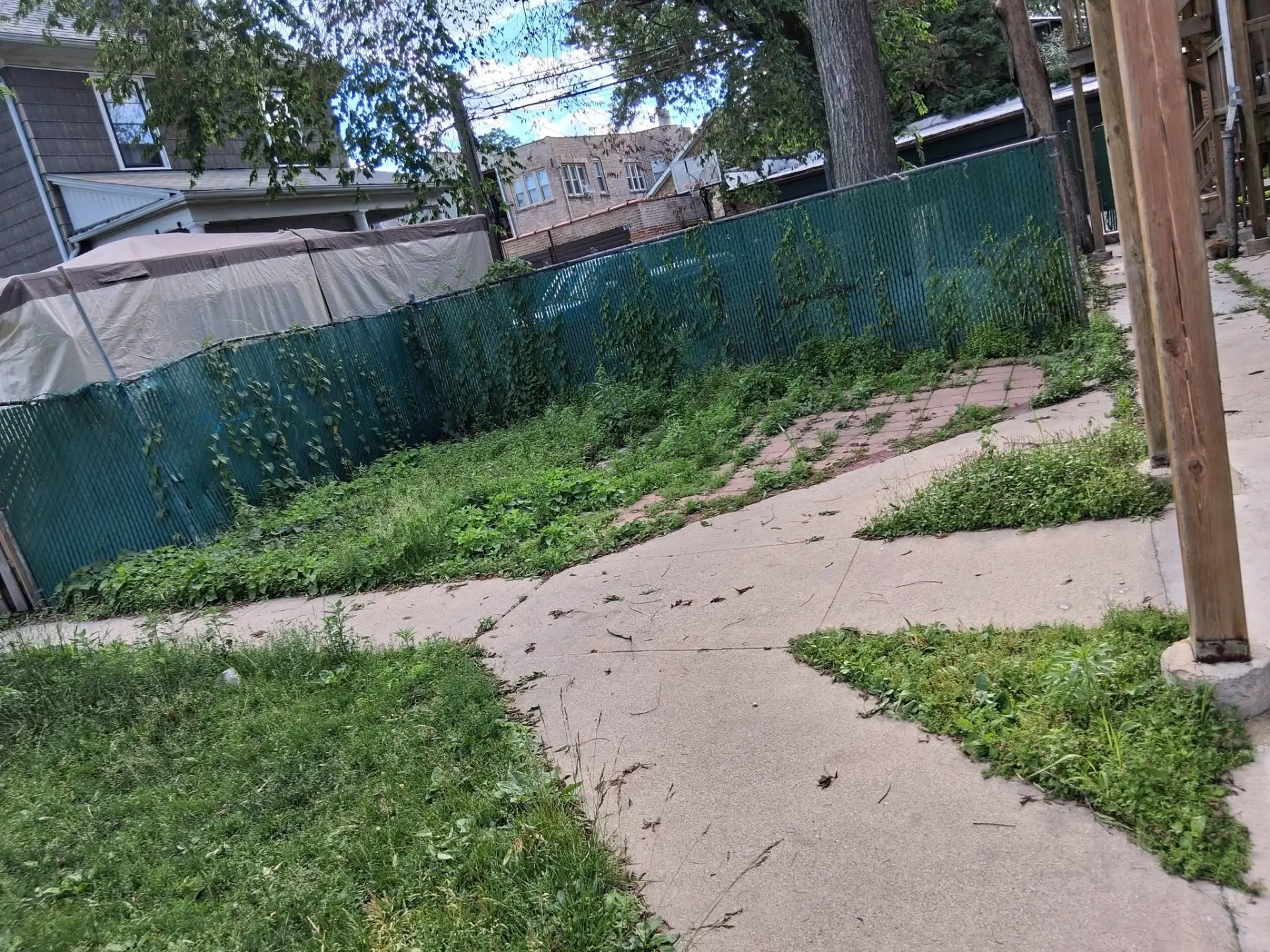 Overgrown walkway and patio area cleaned up — before