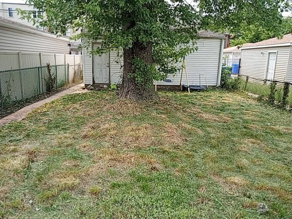 Overgrown backyard clearing — after